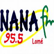 Logo nanafm